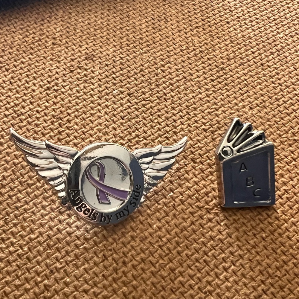 Silver and Purple Winged Brooch